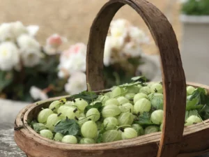 Gooseberries-in-basket-scaled